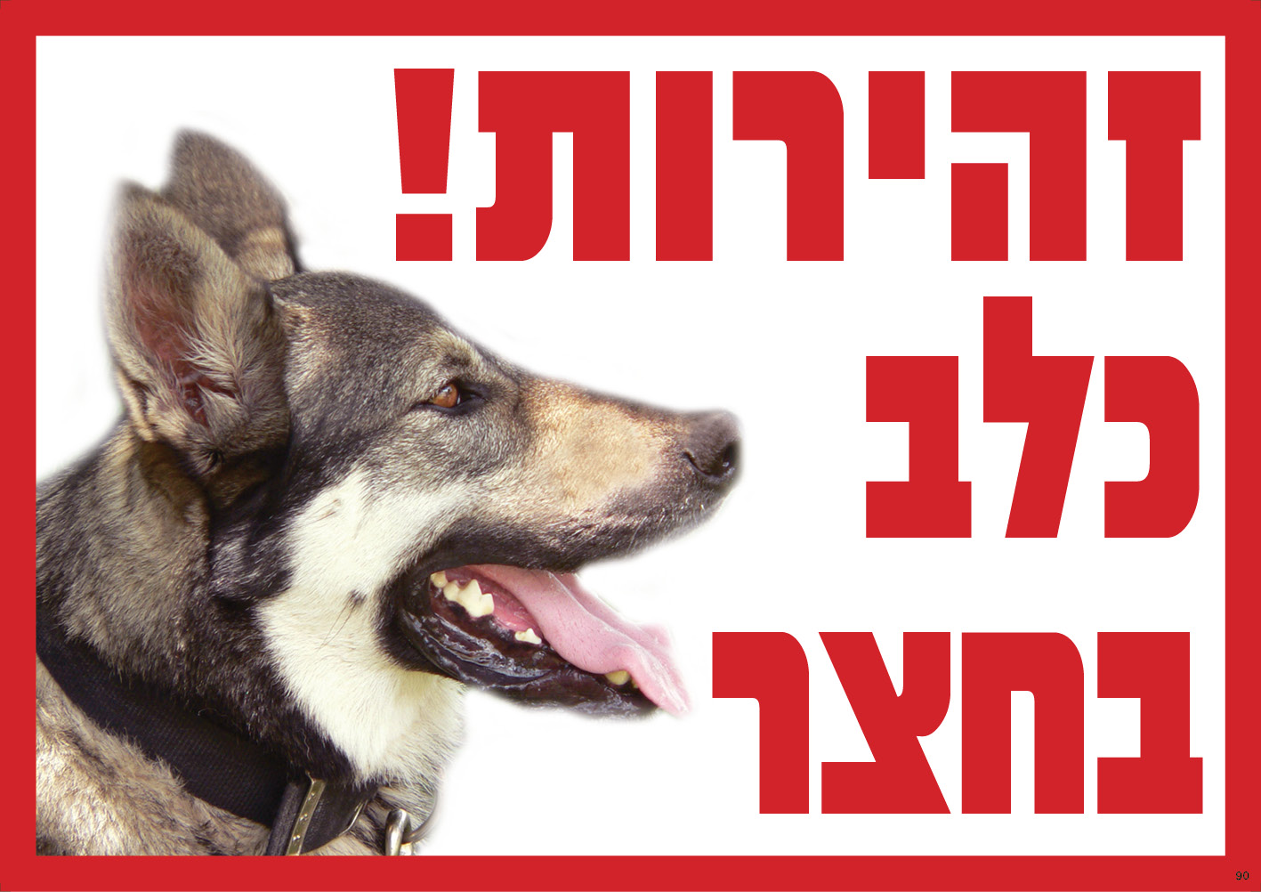 זהירות! כלב בחצר (תמונה)