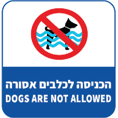 הכניסה לכלבים אסורה DOGS ARE NOT ALLOWED (בריכה)